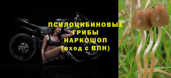 скорость Абаза