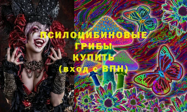 скорость Абаза