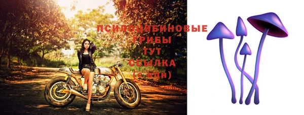 a pvp Абинск